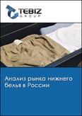 Обложка Анализ рынка нижнего белья в России